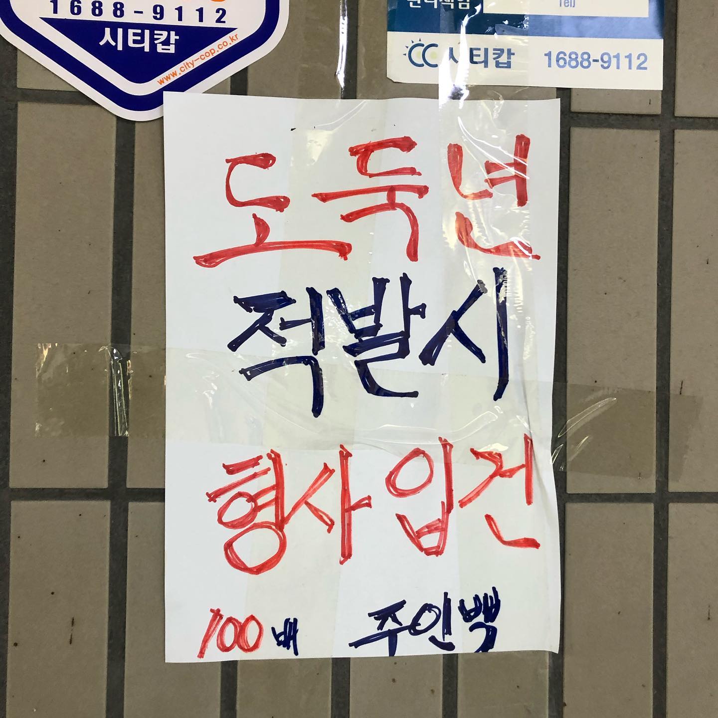 콘텐츠