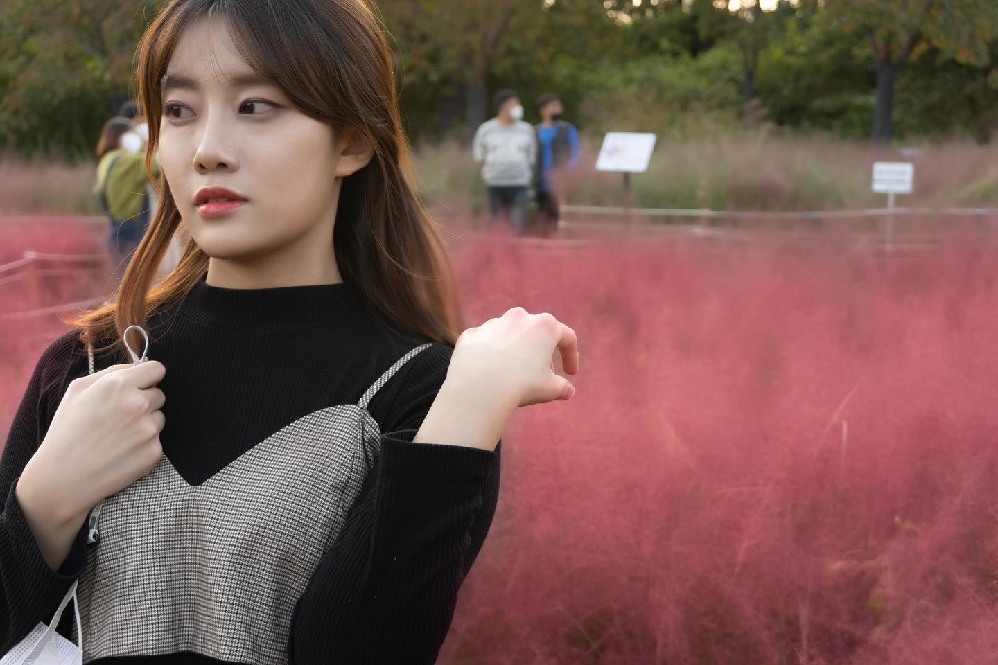 드디어 #핑크뮬리

처음으로
핑크뮬리를 봤다

예쁜 사진이 더 많지만
보정해보고 마음에 들어서
그냥 먼저 올려보는 사진

#올림픽공원 #이번주말은 #핑크뮬리🌸