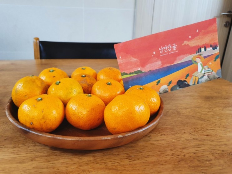 친환경 제주감귤. 노지감귤이라 더 맛있어요. 청춘 낭만감귤