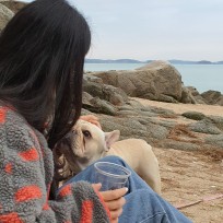 사진만능주의 : 네이버 블로그