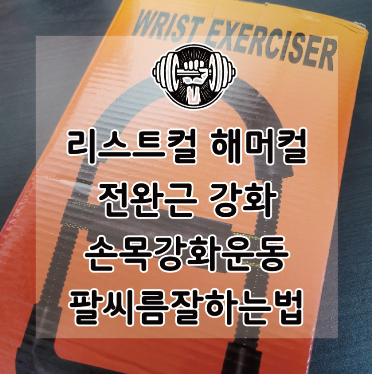[만리뷰] 손목강화/전완근 운동과 팔씨름잘하는방법 마니바 리스트컬 해머컬