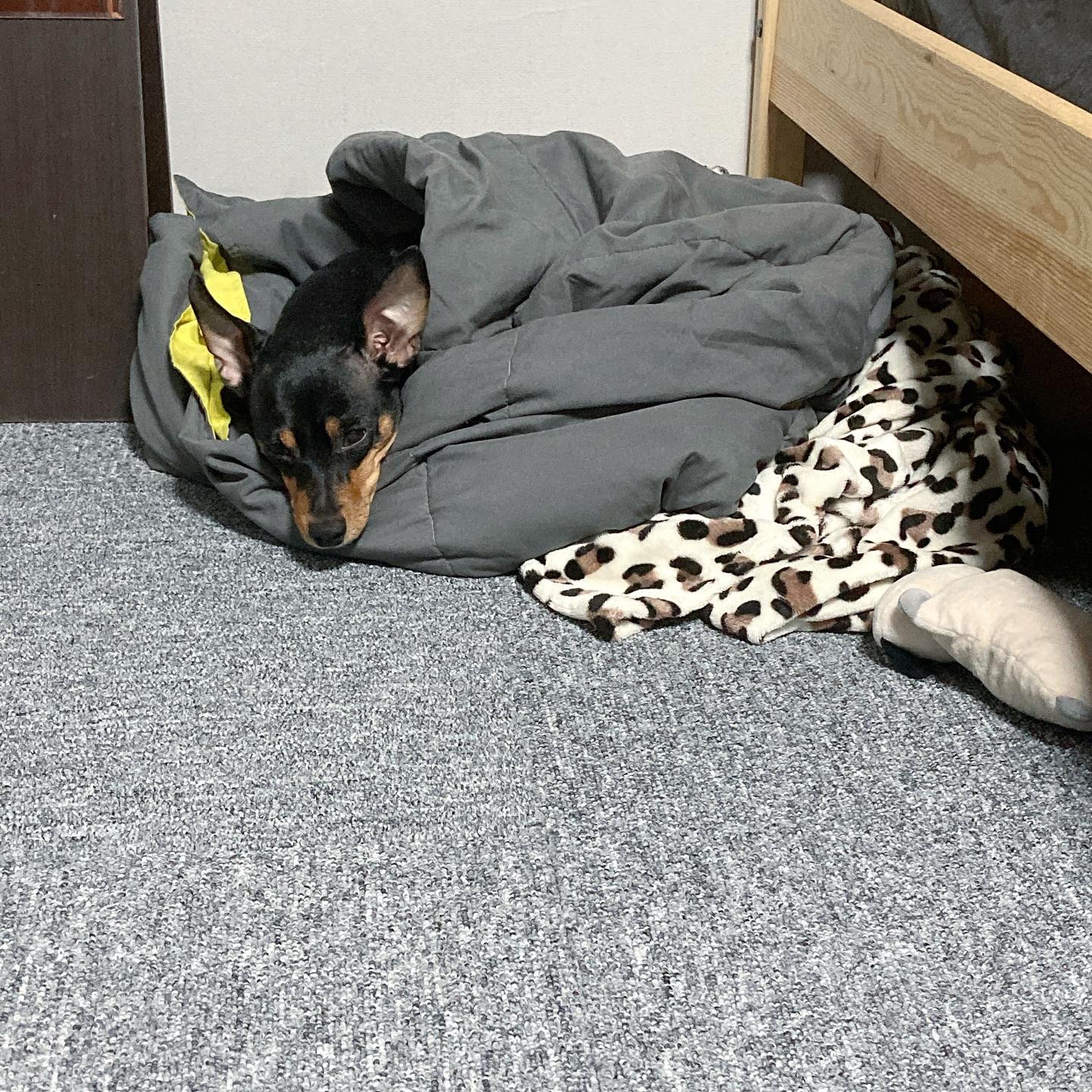 내가 가진 검정 중에 제일 예쁜 검정