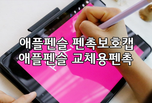 애플펜슬펜촉교체를해보자< 픽스엔케이스>펜촉보호캡+교체용펜촉