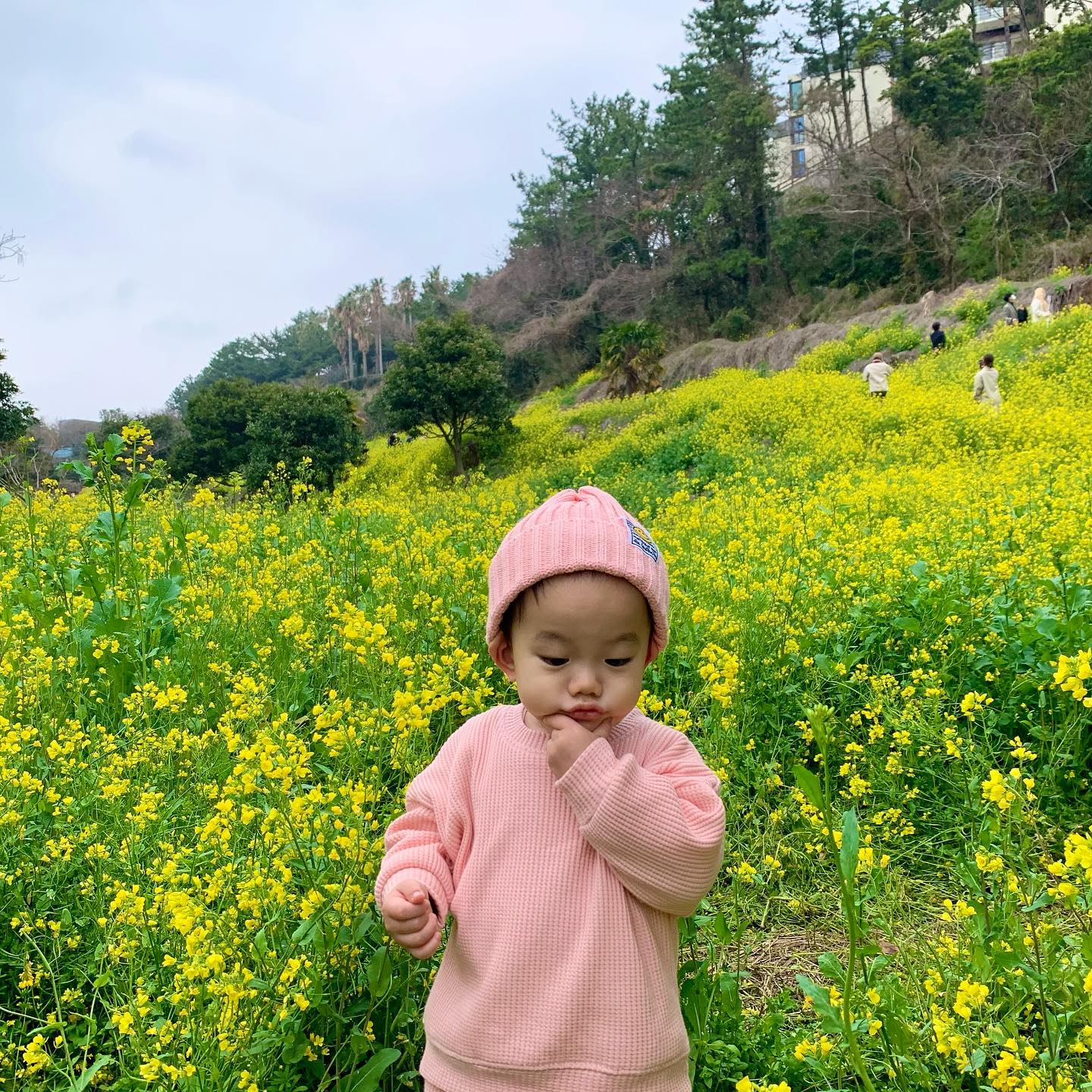 #시완베베 

이제 봄이니까 꽃구경🌼 
산책로도 있어서 천천히 걷기도 좋았던곳💛

(사람없는곳으로 가서 마스크 잠깐 벗고 후딱 찍었어요😭)