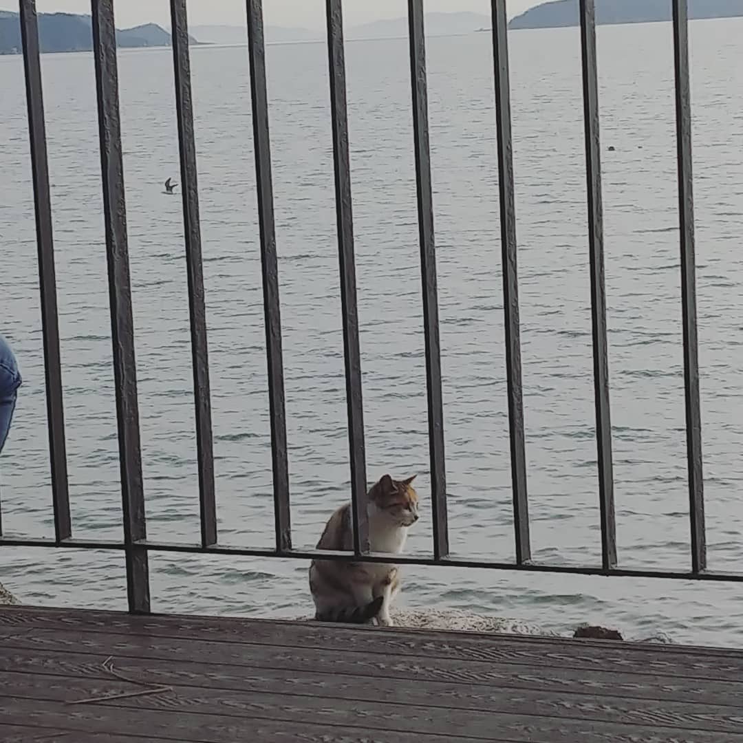 바다야 바다야