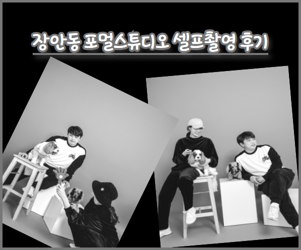 장안동사진관 포멀스튜디오에서 반려견들과 셀프촬영했어요