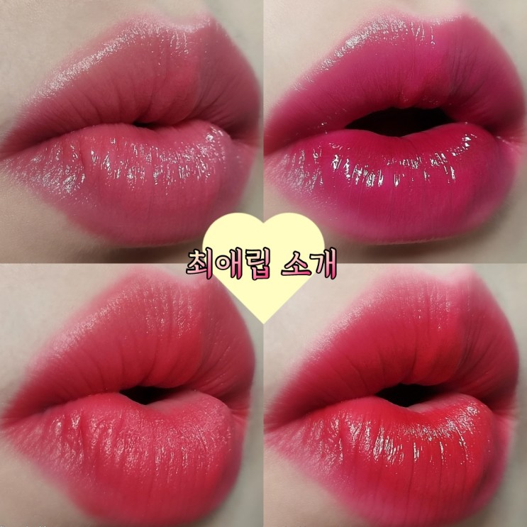평소 애정하는 최애립 소개! 의도치 않은 쿨톤립 추천♡ /찐최애립
