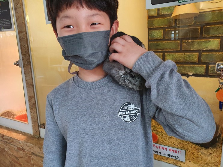 키즈덴탈마스크 추천 세 아이의 약사아빠가 만든 아코마스크