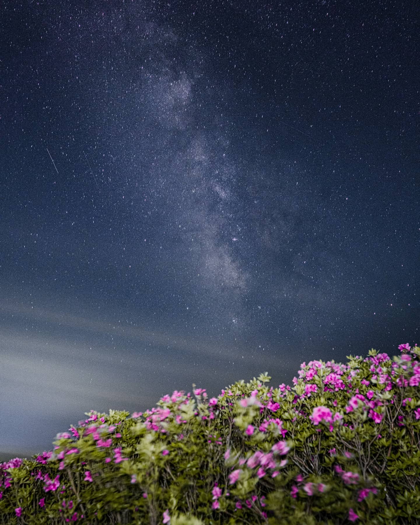 자정부터🌌 일출까지🌄

유성우 떨어지는 거 구경하고 덜덜떨면서 라면도 먹고 핫초코도먹고 스프도먹고 초코파이도먹고..... ....... 일출도 보고..~!!
ㆍ
ㆍSony a7 R iii | SEL2470GM
ㆍ
ㆍ합천 황매산 제2 철쭉 군락지