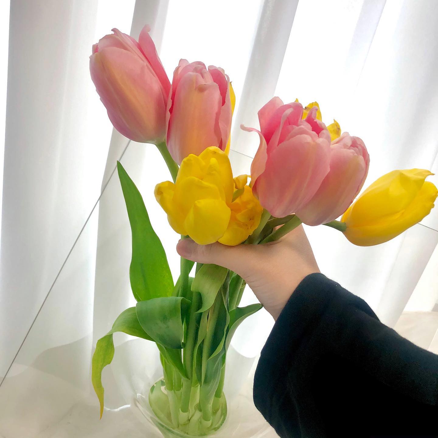 🌷☁️