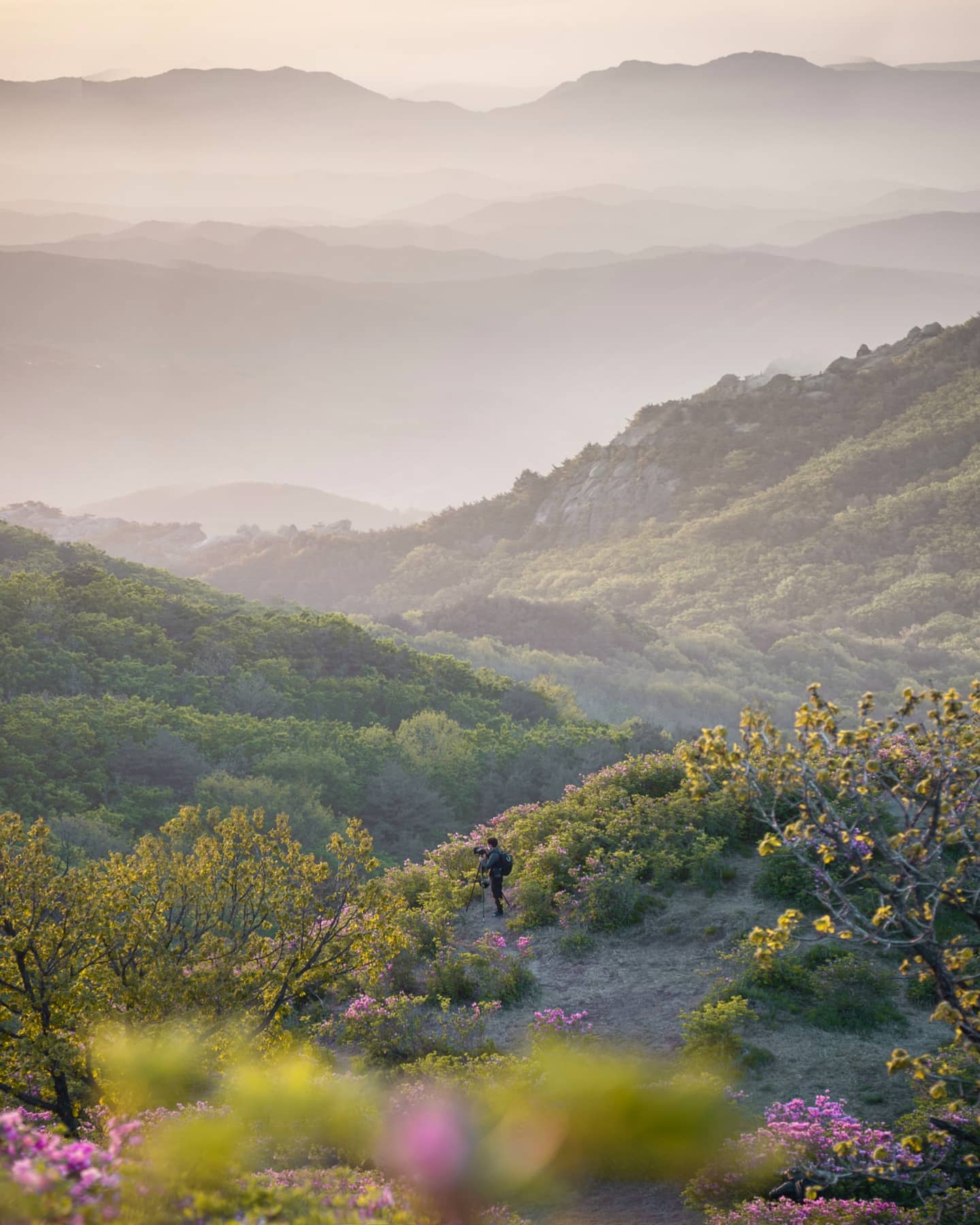 일출 20분 전
저분은 어떻게 담으셨을까👀
ㆍ
📷Sony a7 R iii | SEL2470GM 
ㆍ
📍합천 황매산 제2 철쭉 군락지