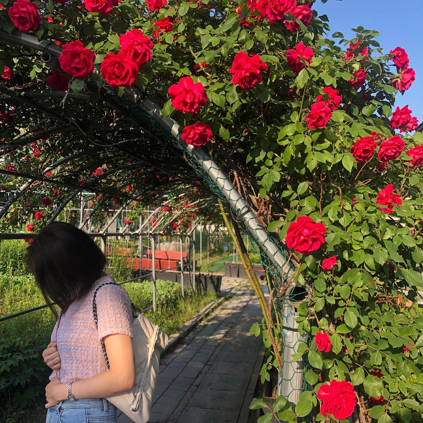 소중한 이 계절과 주말🌹