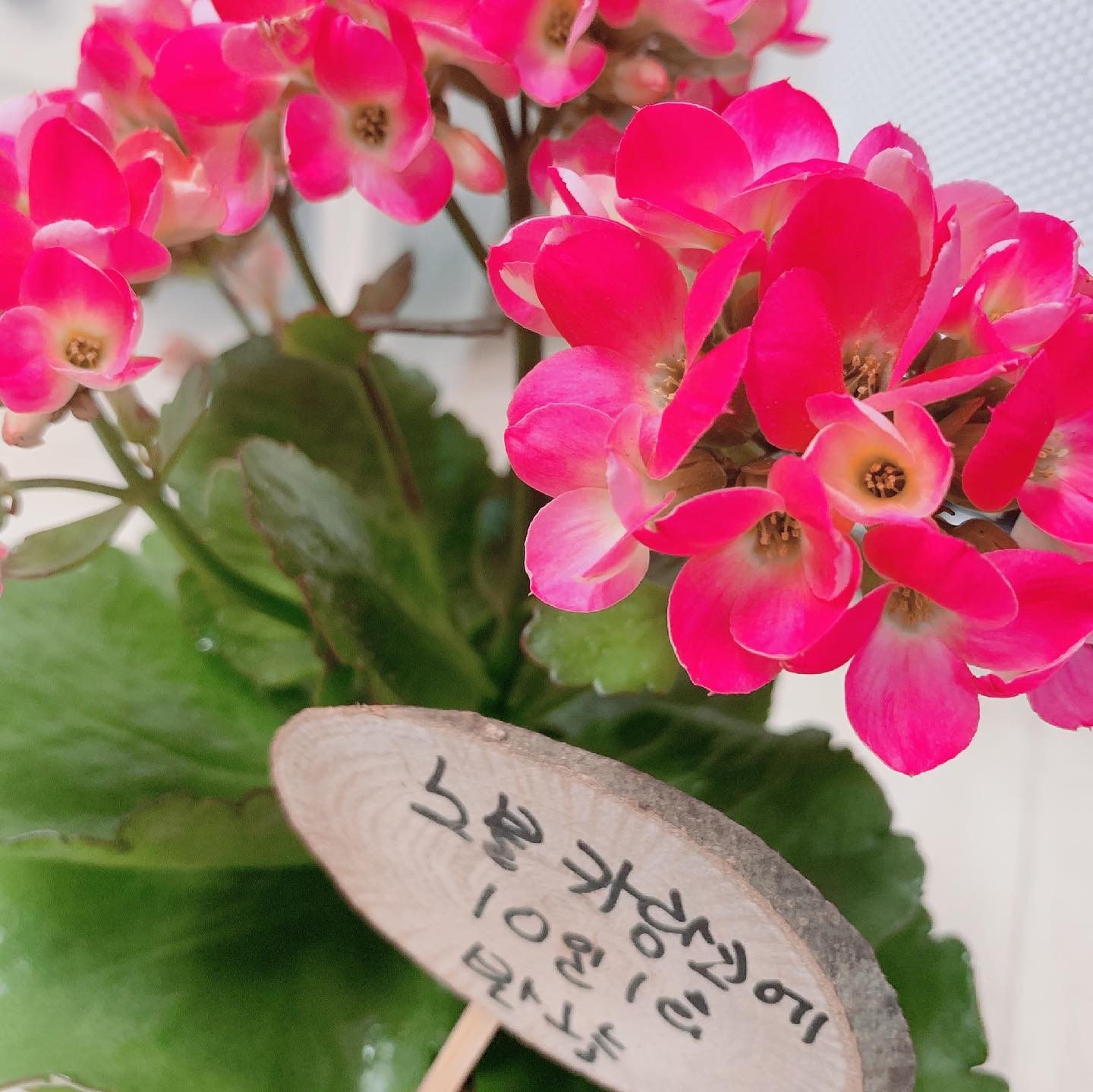 고마워요^^ 간만의 데이트
.
.
#일상#데일리#결혼기념일#2주년#먹방