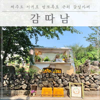 [제주카페] 서귀포 엉또폭포 근처 감성카페 :: 감따남(감귤따기 체험)