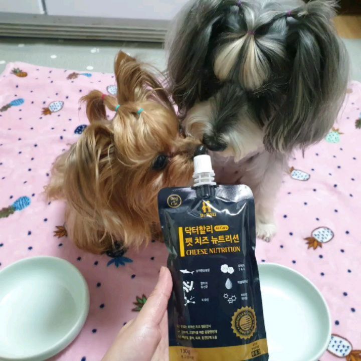 발빠른 인싸템 요키슈나맘 on Instagram: “#협찬 신제품 나오면 성분을 잘 확인해보고 겟하는데, 이번 제품은 퍼펙트❤ 유당분해 우유를 만든 닥터할리 펫밀크에서 신제품인 치즈 영양제가 그