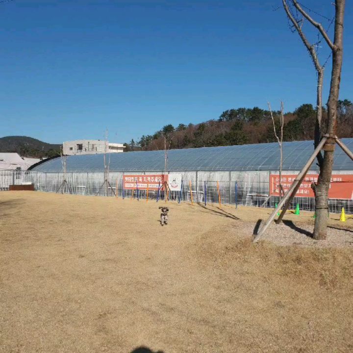 발빠른 인싸템 요키슈나맘 on Instagram: “#협찬 3,000여평 최대규모 애견카페! 천연잔디, 실내운동장, 애견수영장, 카페까지 있는 레스트펫에서 반려견 요키슈나와 즐거운 시간을 보내고 왔다.