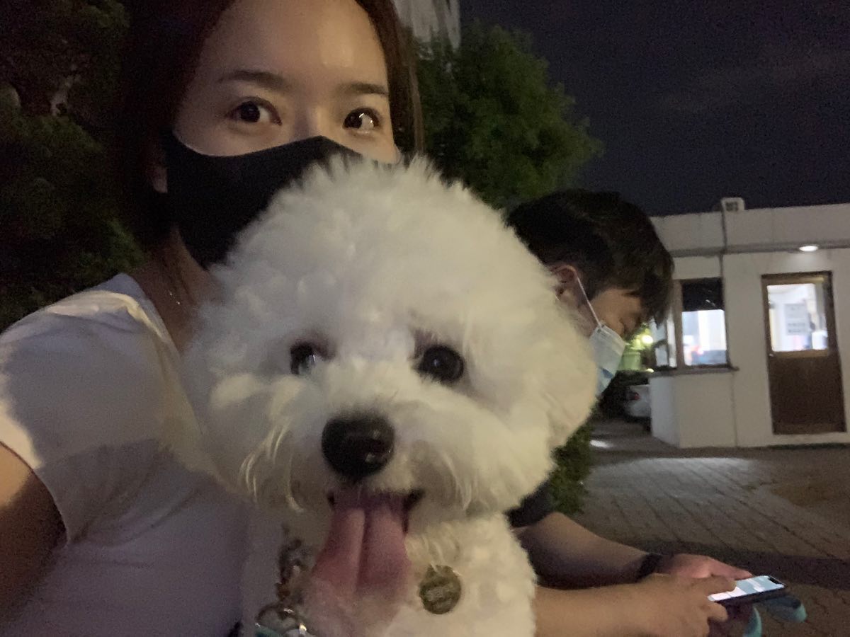 오늘은 날씨가 선선해서 산책하기 짱 조아~!
낮에는 너무 더워서 산책 못 가는걸 너는 모르지 ㅠ
다 뛰어놀아서 셋 다 헥헥
ㅋㅋㅋㅋㅋㅋㅋㅋㅋㅋㅋㅋㅋㅋㅋㅋㅋㅋ

#개있는집