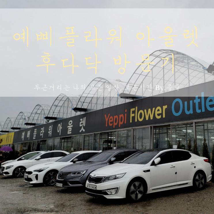 남사 예삐 플라워 아울렛 방문 후기 봄에는 꽃을 참을수 없지!