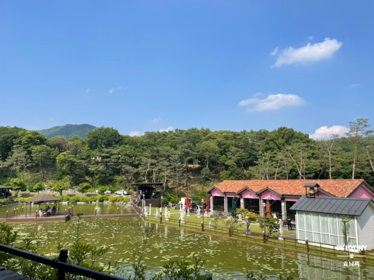 여주 카페 포레스트 in 숲을그리다