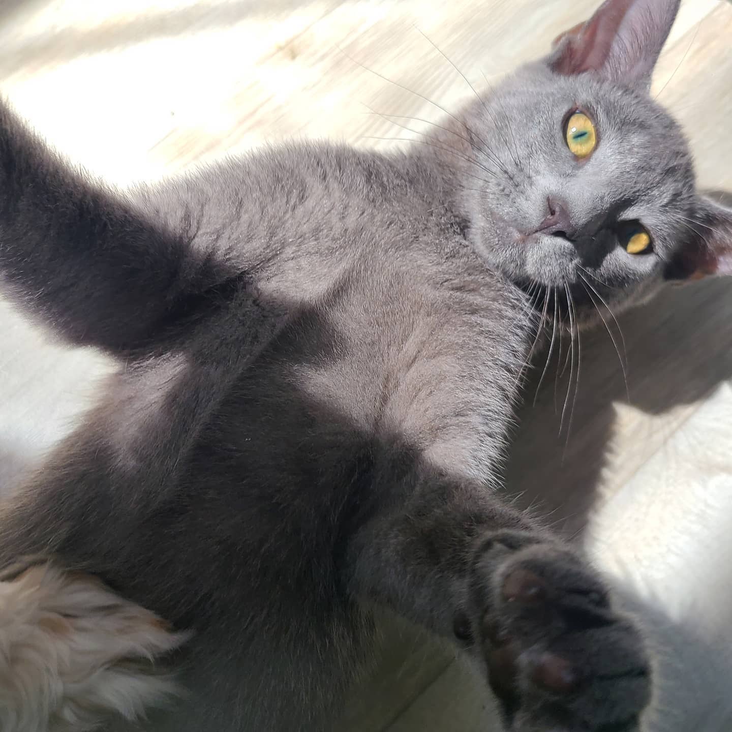 까미🐈인생샷📸