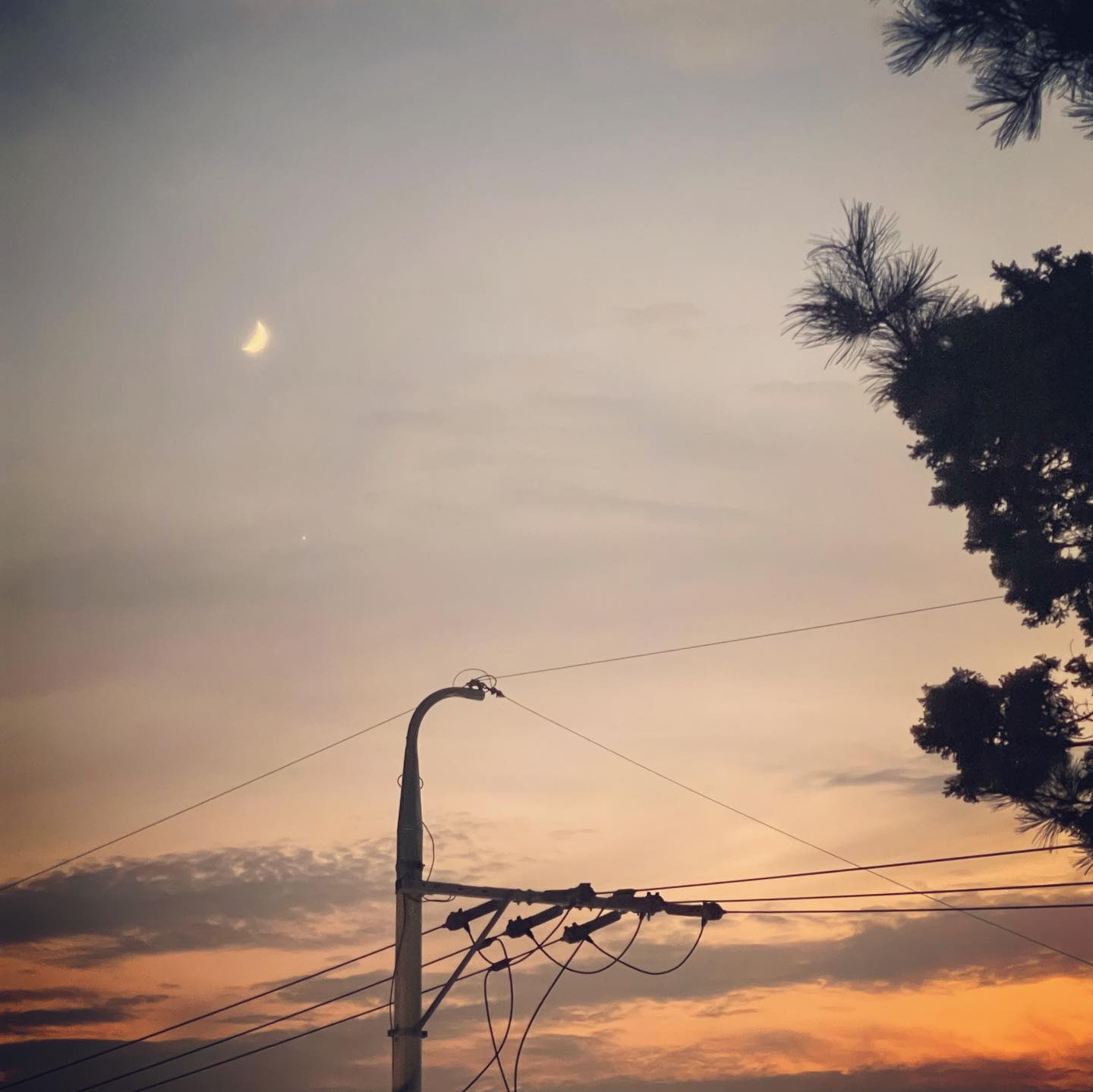 🌙

민경👧🏻 : 엄마! 저기 하늘에 달 봐봐 ~ 
너무예뻐! 동화에나오는 엄청 예쁜 달 같아!!

라고 말하던 민경이
오늘따라 정말 예뻣는데 사진을 너무못찍었다🥲