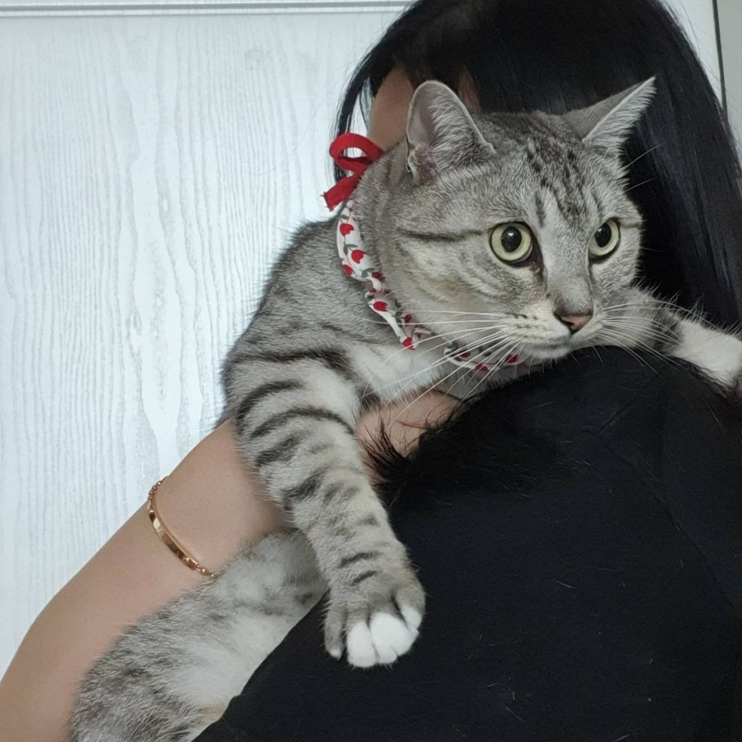 심바🐾후추 on Instagram: “#광고 평생 저랑 함께할 심바와 후추를 위해 챌린지에 참여해봅니다❣ 반려동물은 장난감이 아닌 평생 함께 할 가족입니다🤨 버리지마세요, 때리지마세요, 함께