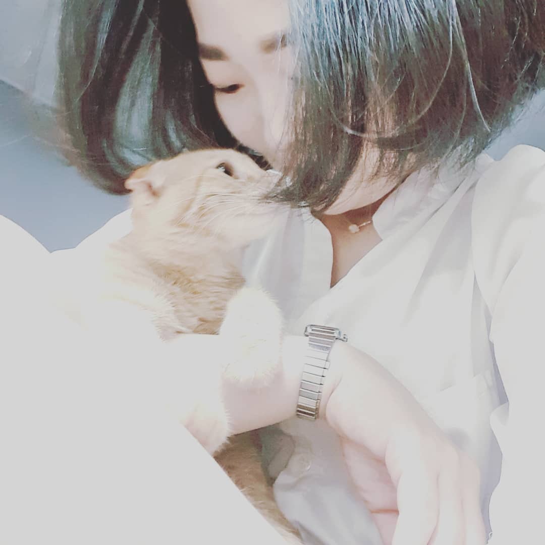 토토네토스트 on Instagram: “#광고 제 6회 JT친애 왕왕콘테스트 NOT TOY 챌린지. 더 이상 버려지는 아이들이 없도록 NOT TOY 챌린지에 동참합니다. 버리지 마세요! 때리지 마세요! 함께해 주세요!