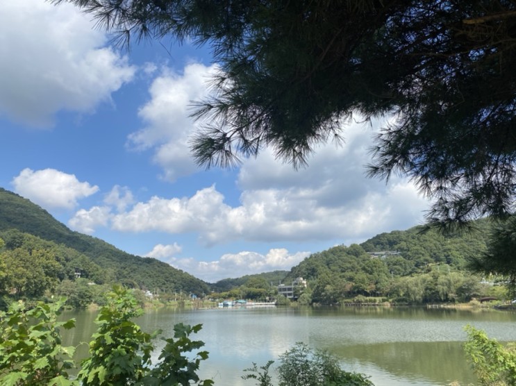 청주 피크닉 / 명암저수지 🏞