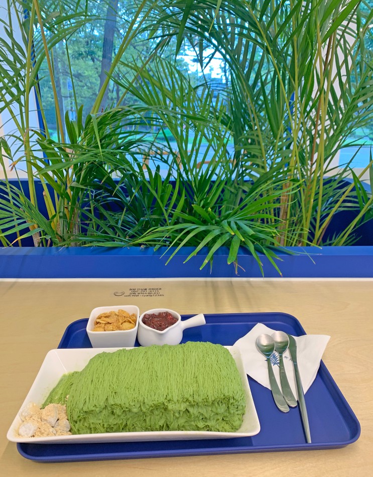 창원카페 말차빙수가 정말 맛있었던 사파동 청량