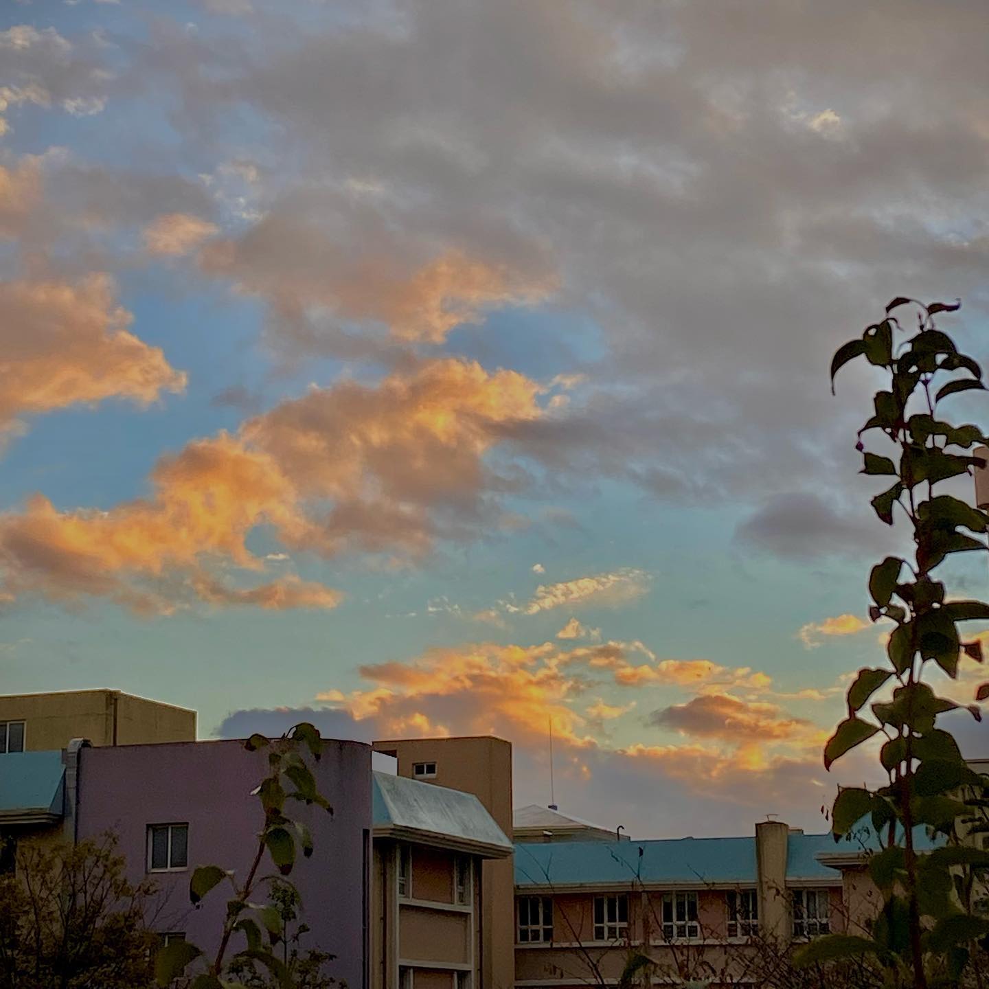 ‎#sunset