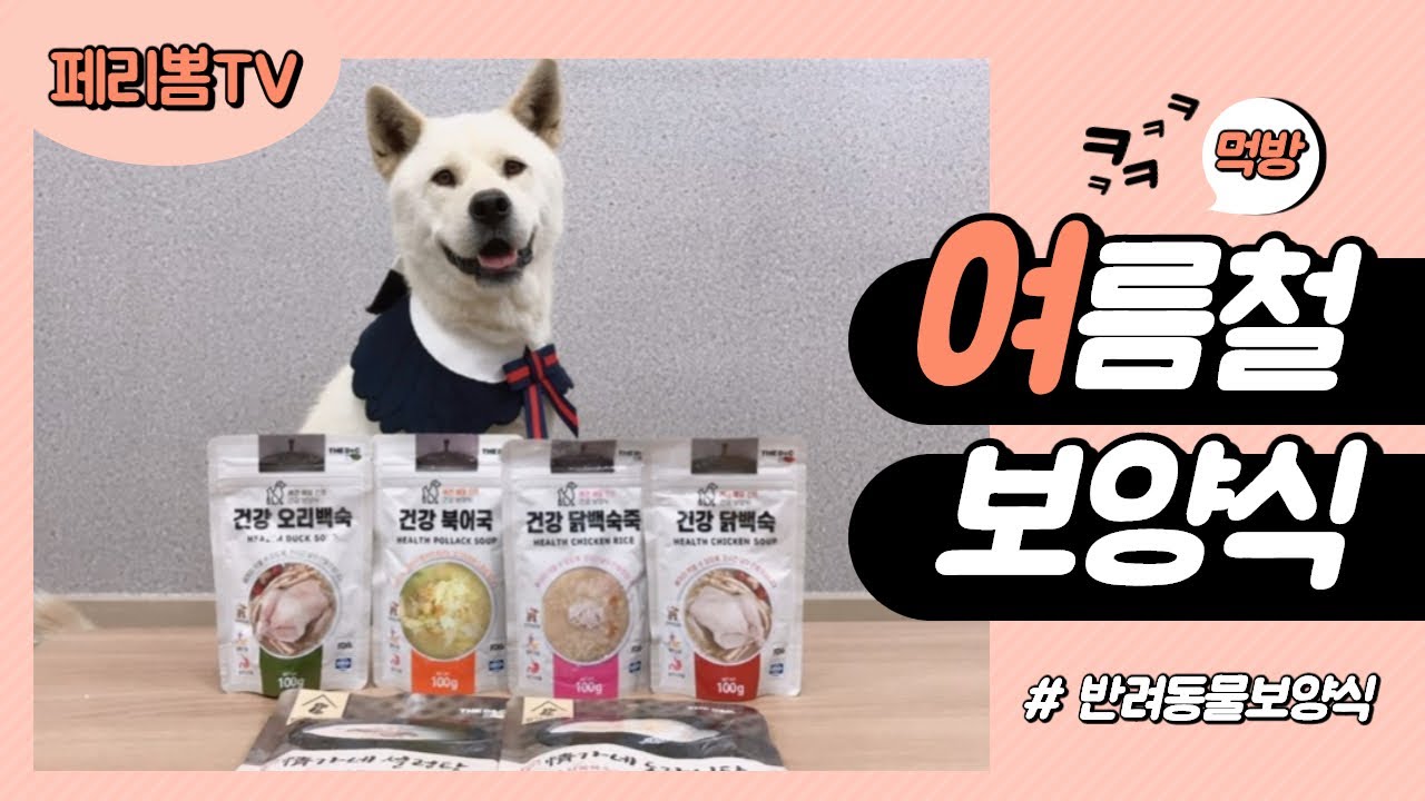 [ 페리뽐TV ] 여름철 보양식 / 반려견 보양식 / 도가니탕 ASMR / 강아지 먹방 / 리얼사운드 / eatingASMR /더디앤씨