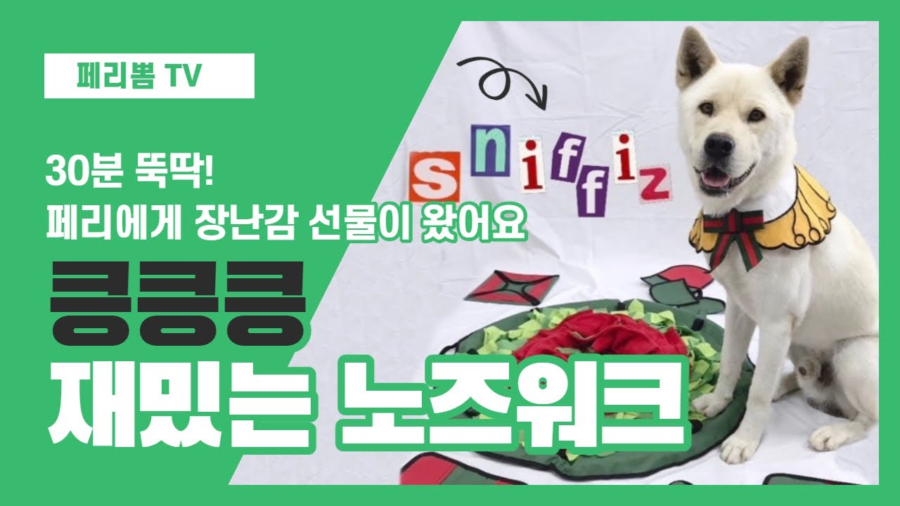 [ 페리뽐 TV ] 30분 뚝딱 재밌는 노즈워크 / 반려견에게 좋은 노즈워크 / 혼자서도 잘 놀아요 / Nose work  / 강아지 우울증, 스트레스 극복하기