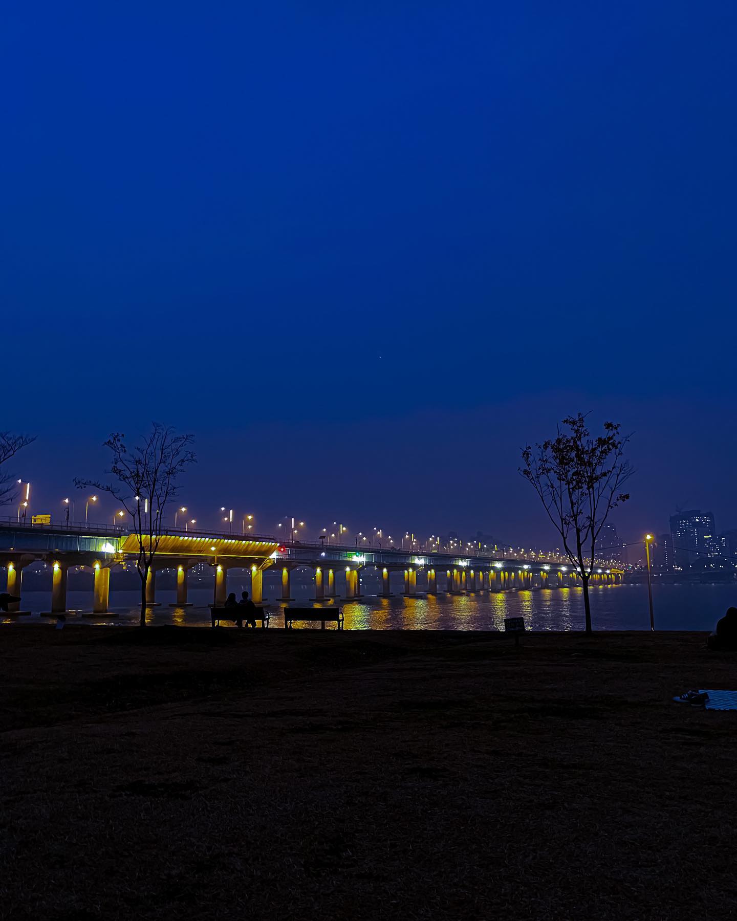 🌉반포대교 야경
수능 담날 친구들과 간 여의도 한강공원
야경과 야식은 꿀조합🤍

#수능 #불금 #밤 #밤하늘 #파랑 #다리 #서울 #반포대교 #한강공원 #한강 #야경 #여행  #사진 #선팔하면맞팔 #좋반  #night #nightview #bridge #river #hanriver #hanriverpark #sky #blue #travel  #banpyobridge #seoul #photo #pic  #photography #pictureoftheday