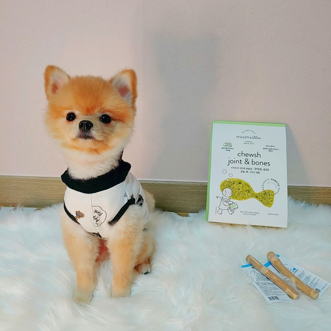 몽솜이네🌺🐻🐰🐹🌺 on Instagram: “#협찬 @mumutto 🐰🐹🌼 솜이네가 체험해 본 제품 무무토 츄어블 커피트리 2개💓 , 무무토 츄씨 영양덴탈껌 1박스💓 💓무무토 츄어블 커피트리 1. 천연