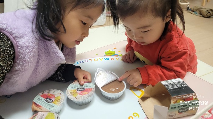 2살 아기과일퓨레 아넬라퓨레 보관