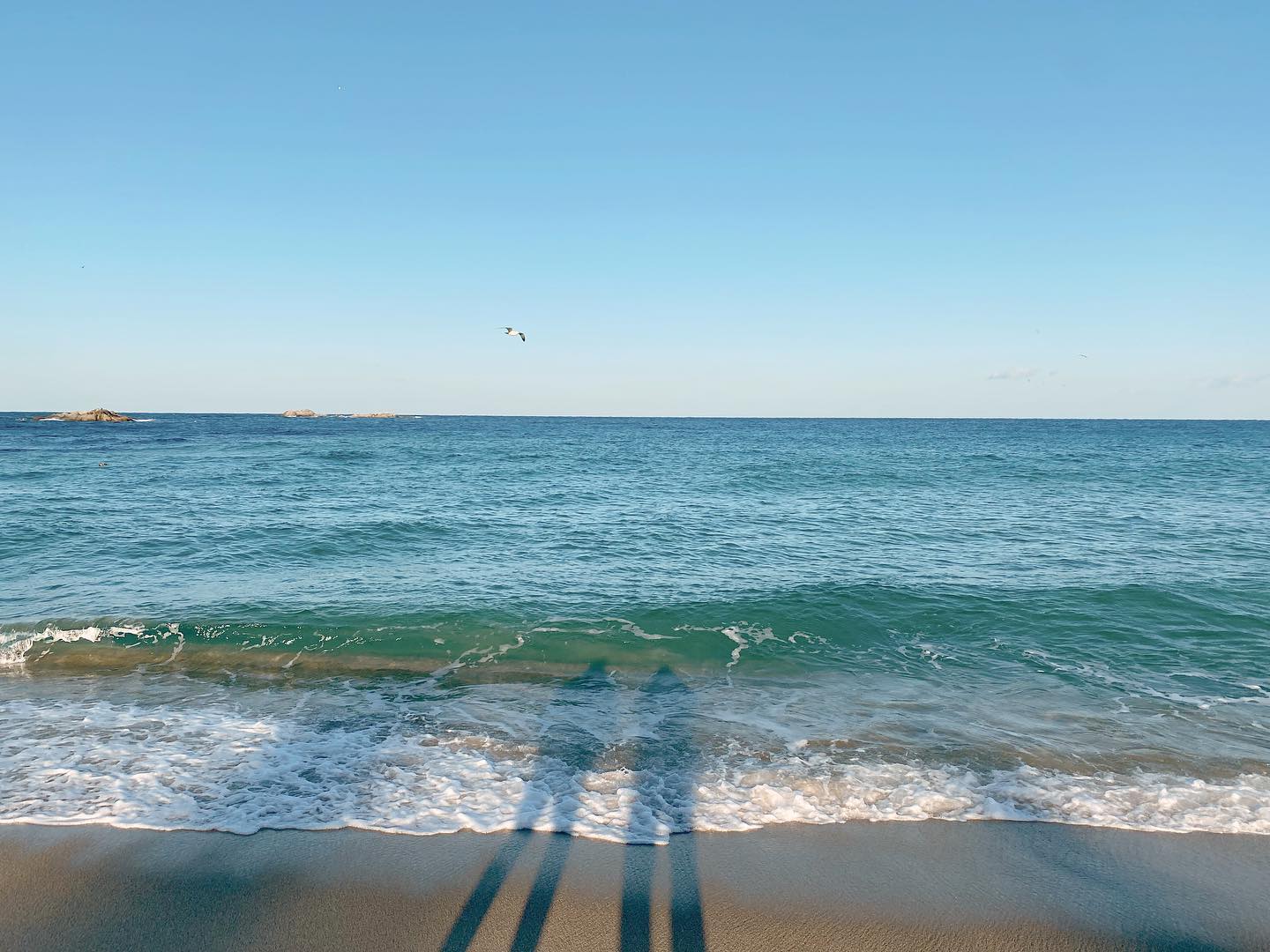 콘텐츠