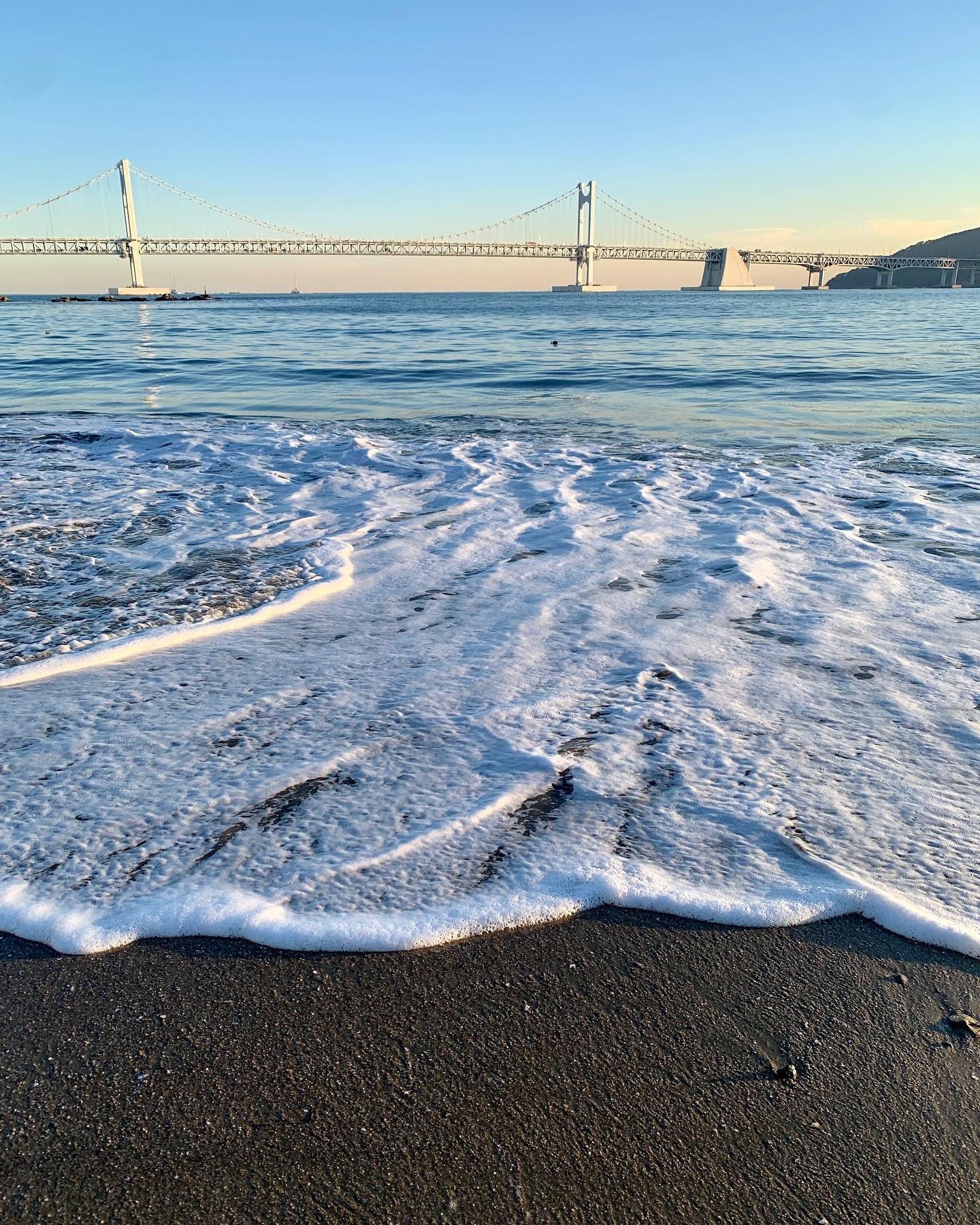 콘텐츠