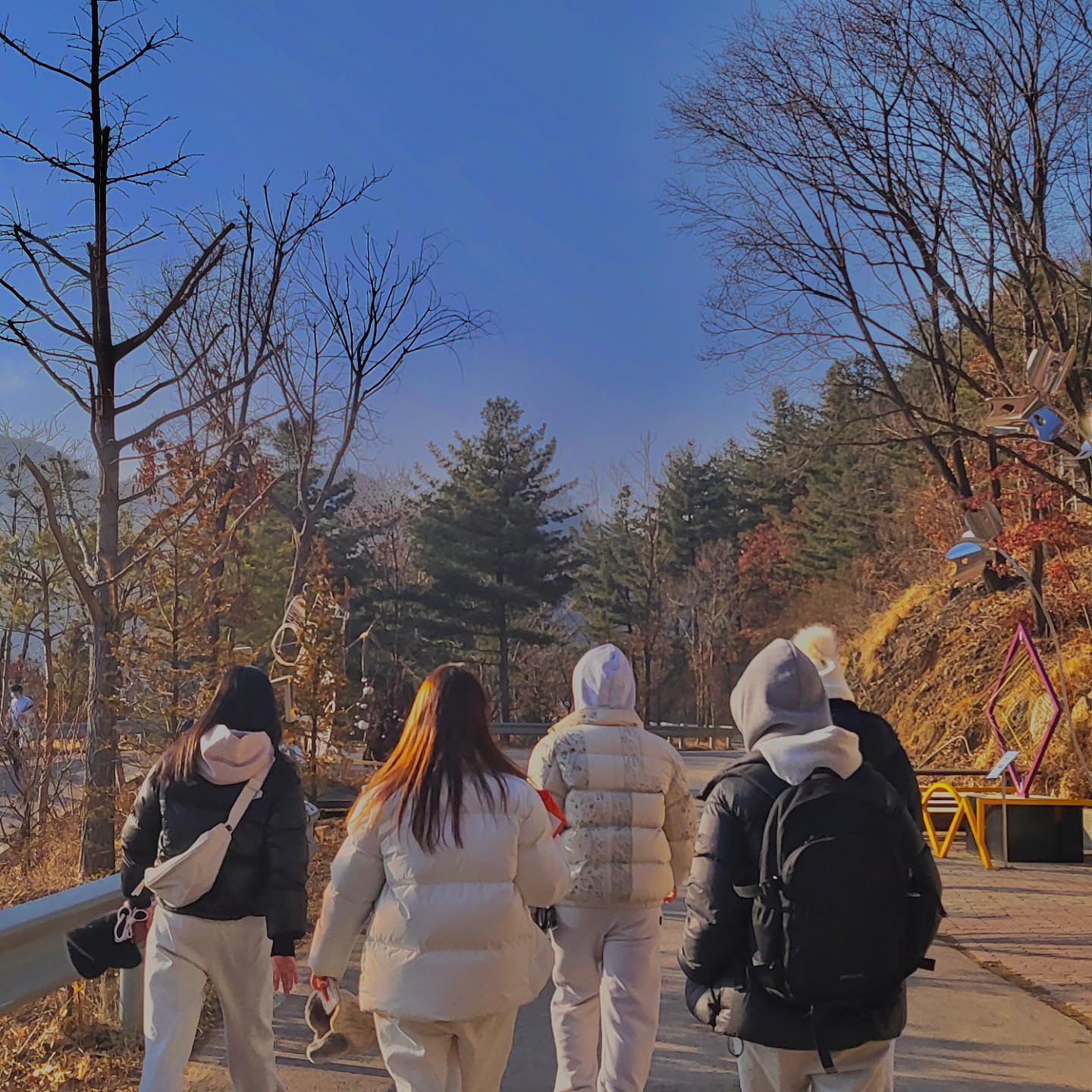 콘텐츠