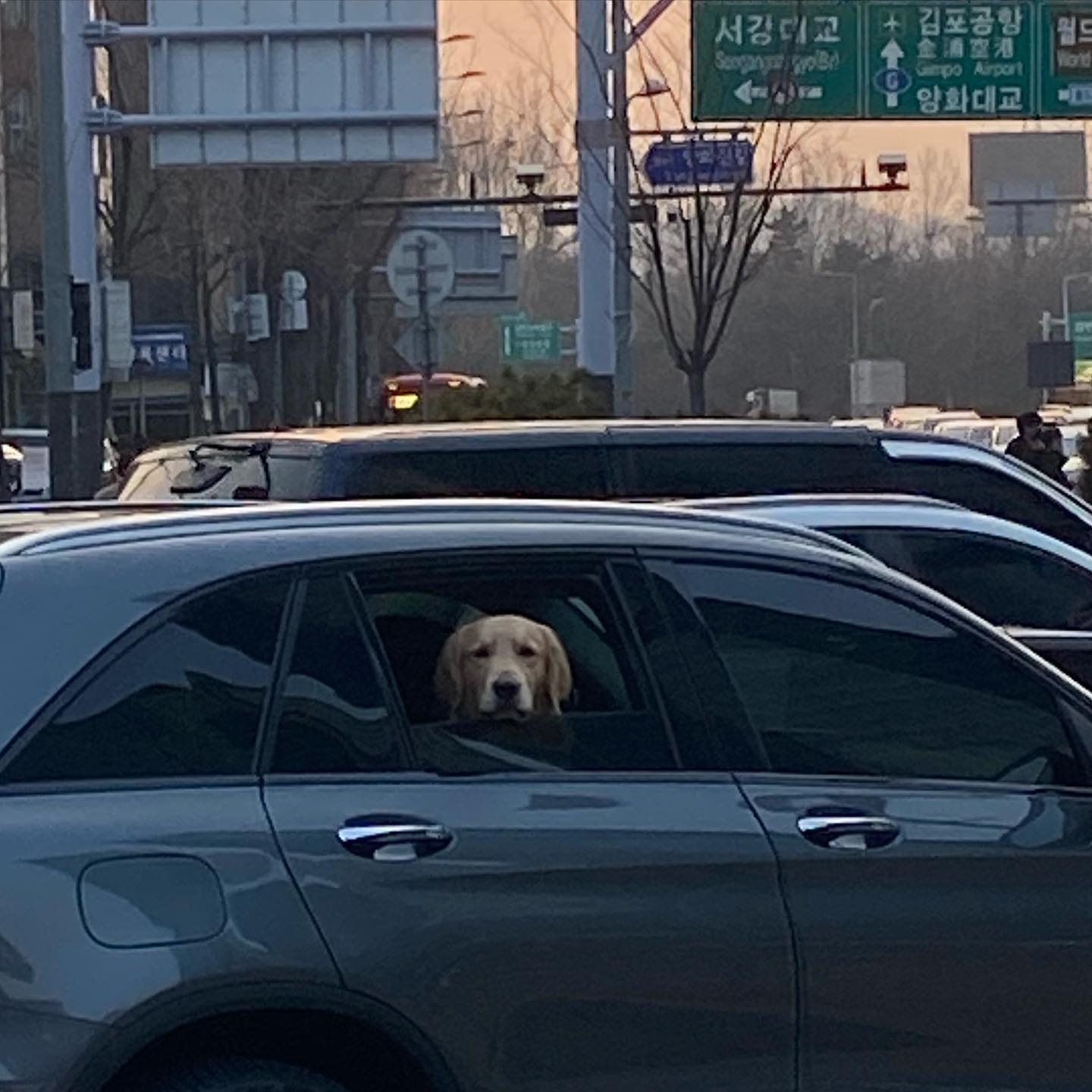 콘텐츠