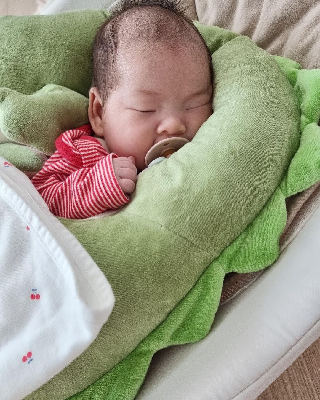 오열매 on Instagram: “˘◡˘ ♥ #지유템ෆ⃛ 요즘 지유가 푹 빠져있는 아꼬모베베 악어 필로우 역시 국민템은 이유가 있지유 여기서 엄청 잘 자요!!! 낮잠만……😓 하지만 태열에 안 좋을듯