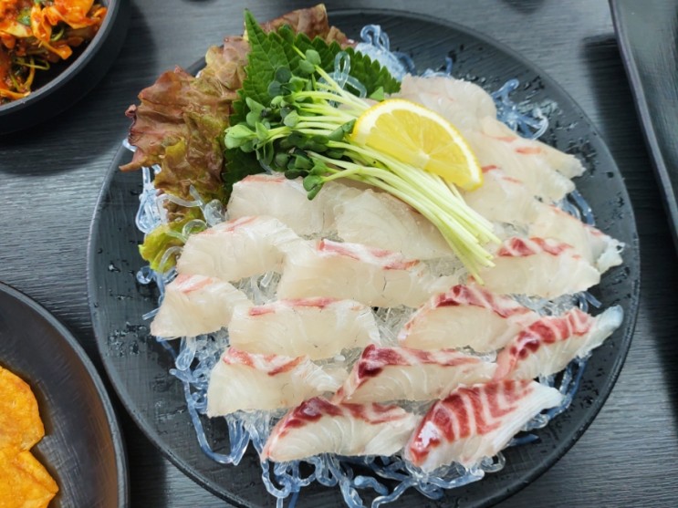 일산 동구 맛집 '씨월드' 가성비 좋은 횟집 술집 (feat.#참돔)