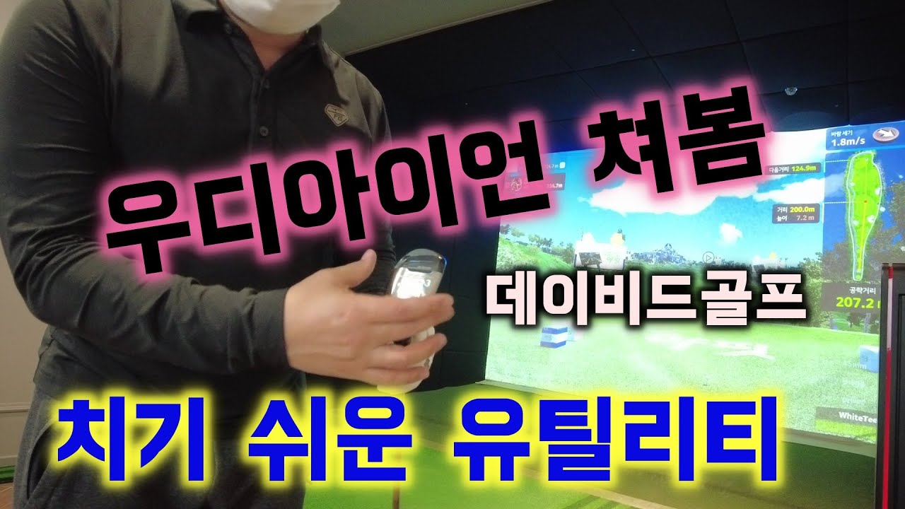 10000명이 보고 간, 데이비드골프 우디아이언