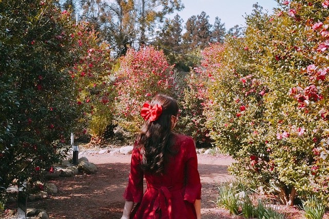 2월의 제주도🌺