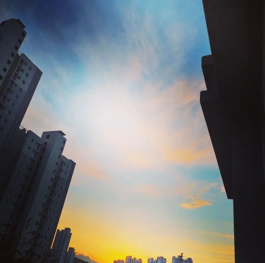 콘텐츠