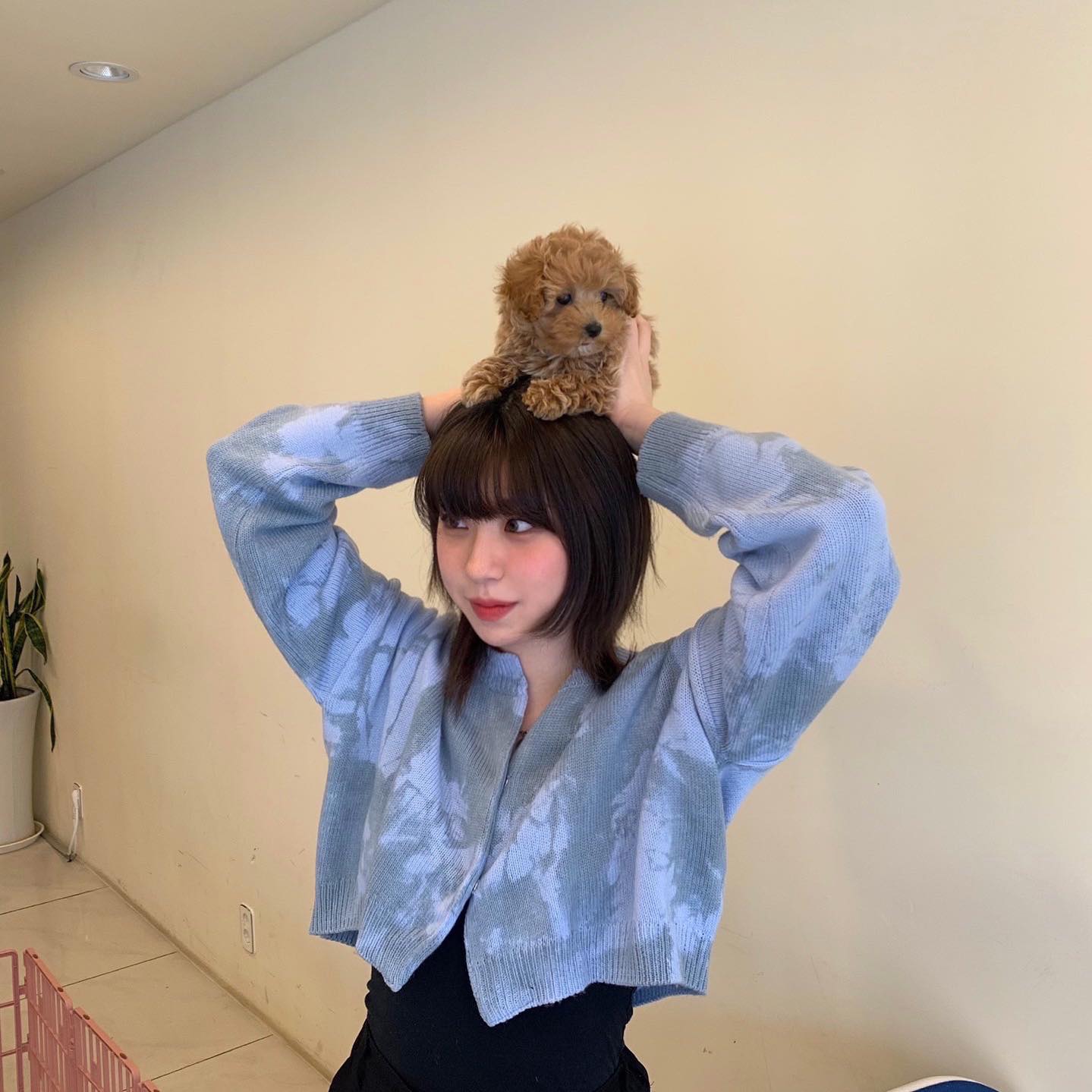 기여운 몽이랑🤎