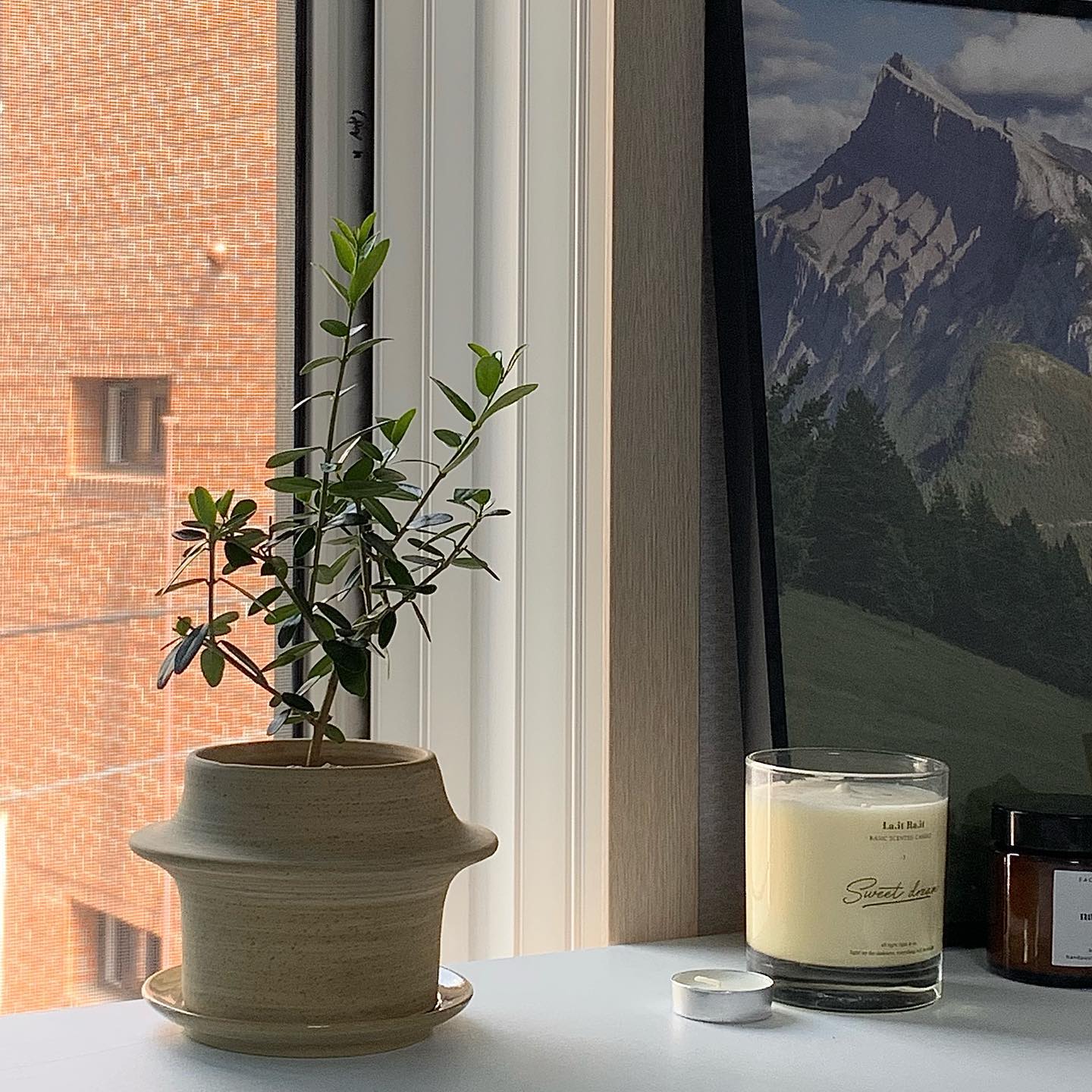 나의 작은 올리브나무🌿 너무 귀엽다 진짜ㅠㅠ
잘 지내보자!!☺️💚