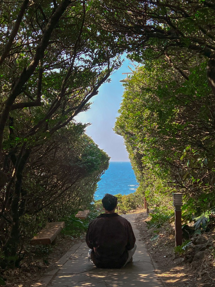 제주 서귀포 남원 큰엉 해안경승지 한반도, 해식동굴 사진 명소