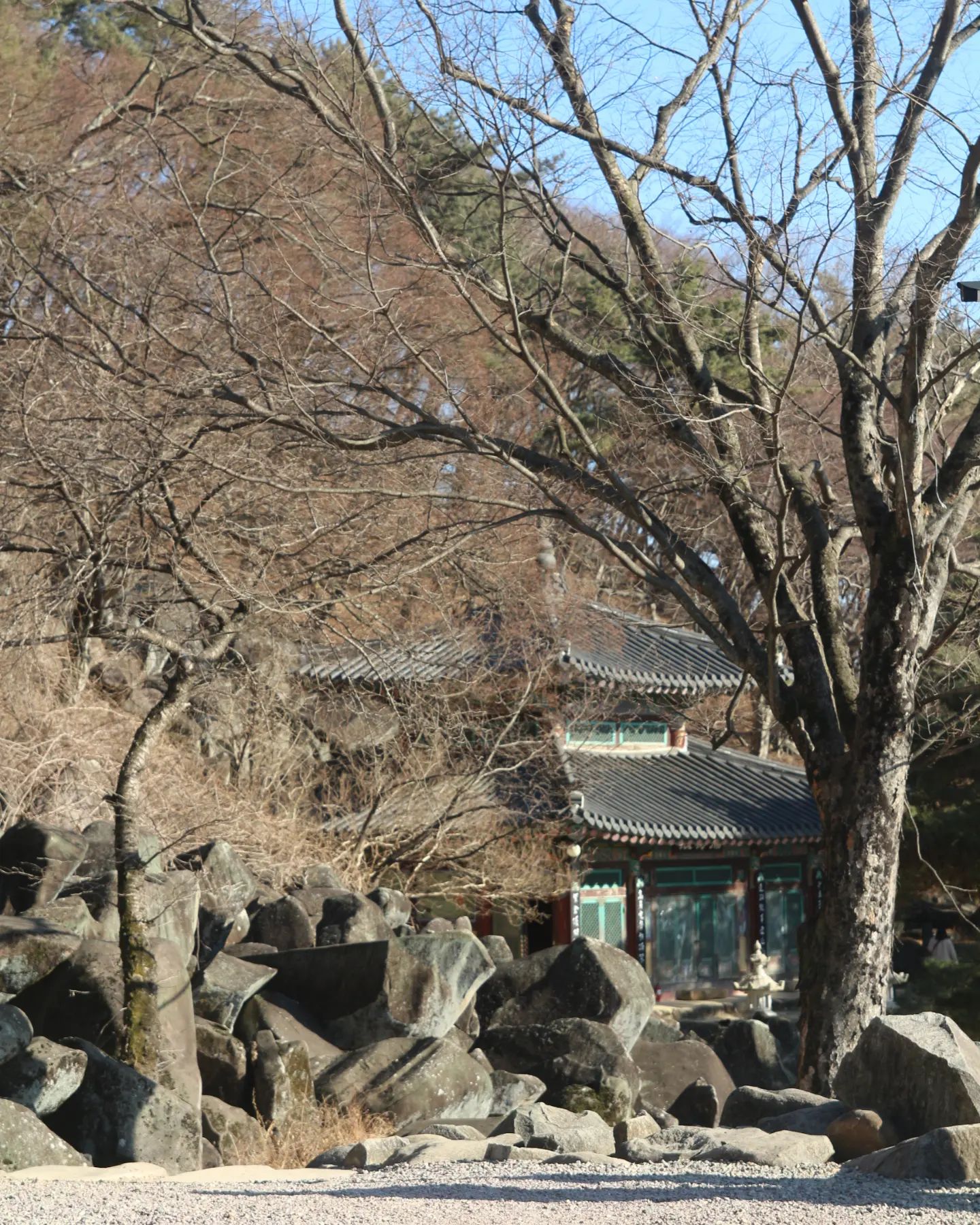 📷 : 캐논 eos 100d + 탐론 17-50

#인물사진 #캐논 #캐논100d #강아지 #탐론1750 #탐론 #좋반 #fff #맞팔 #선팔 #선팔하면맞팔 #절 #밀양 #만어사