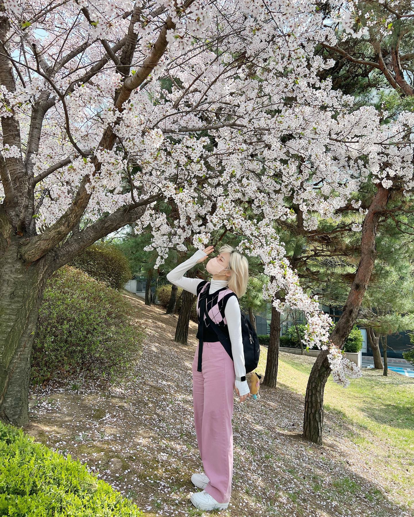 벚꽃룩 핑크핑크🌸💖