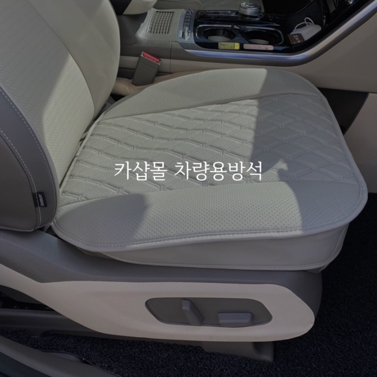 카니발 차량용 방석 카샵몰 차량방석
